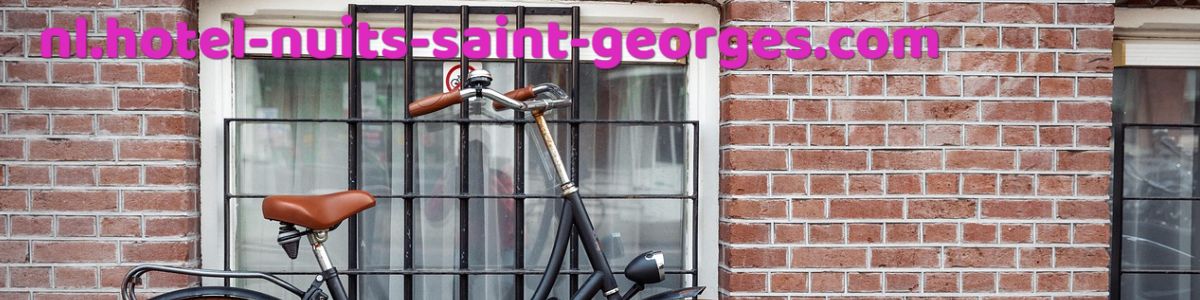 nl.hotel-nuits-saint-georges.com